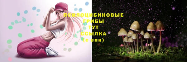 молекула духа Уссурийск